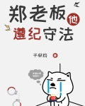 郑老板他遵纪守法