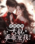 错撩成婚:大叔,乖乖宠我!