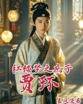 红楼梦之庶子贾环