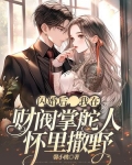 闪婚后,我在禁欲首富怀里撒野