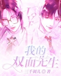 我的双面先生