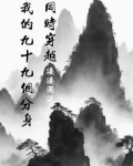 同时穿越：我的九十九个分身