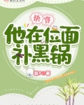 快穿:他在位面补黑锅