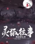 灵狐往事