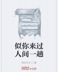 似你来过人间一趟