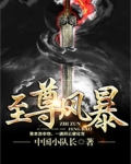 至尊风暴