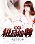 都市极品仙尊