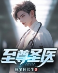 至尊圣医