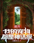 御兽:我的宠物都是神话级