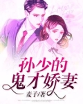 孙少的鬼才娇妻