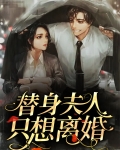 替身夫人只想离婚