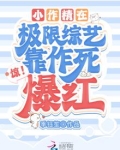 惊！小作精在极限综艺靠作死爆红