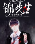 秘术之锦先生