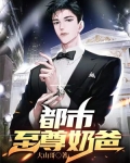 都市至尊奶爸