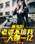 重生后，老婆不信我一天赚一亿