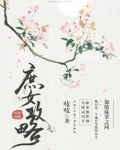 庶女攻略(《锦心似玉》原著)