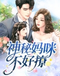 神秘妈咪不好撩