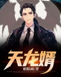 天龙婿
