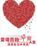 重生之夏晴蕊的华丽人生