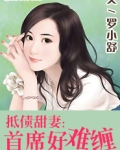 暖心甜妻:首席好难缠