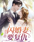 夜少的闪婚妻要复仇