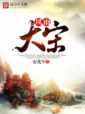 风雨大宋笔趣阁
