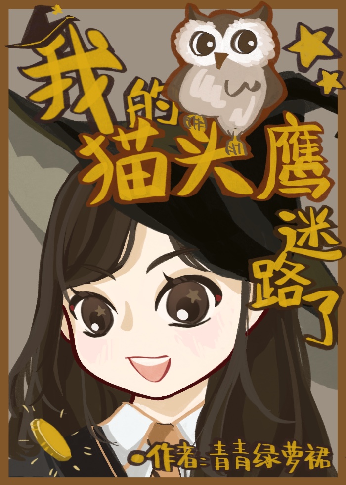 hp我的猫头鹰迷路了电脑版