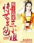 邪王追妻：惊世草包三小姐