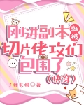 刚进副本就被切片佬攻们包围了(快穿)