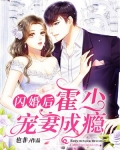 闪婚后,霍少宠妻成瘾