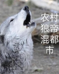 农村狼帝混都市