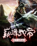 巅峰武帝