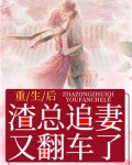 重生后，渣总追妻又翻车了