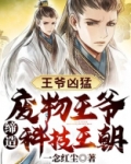 王爷凶猛:废物王爷缔造科技王朝