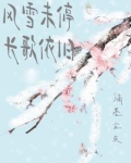 风雪 歌词