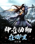 神奇动物在哪里