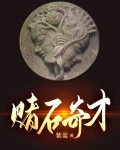 赌石奇才 紫蓝