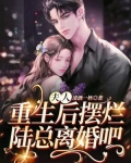 夫人重生后摆烂,陆总离婚吧