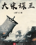 大宋谍王