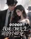闪婚闪孕后,我成了顾先生的小娇宠