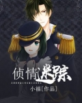 侦情迷踪