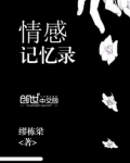 情感记忆录