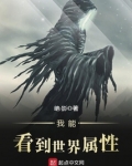 我能看到世界属性