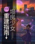 塌房少女重建指南