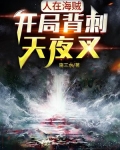 人在海贼,开局背刺天夜叉