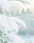 雪夜送春光