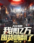 天灾末世:我携亿万囤货嗨翻了