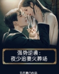 强势逆袭:夜少追妻火葬场