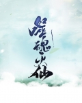 噬魂灭仙