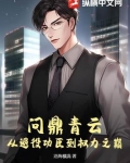 问鼎青云：从退役功臣到权力之巅